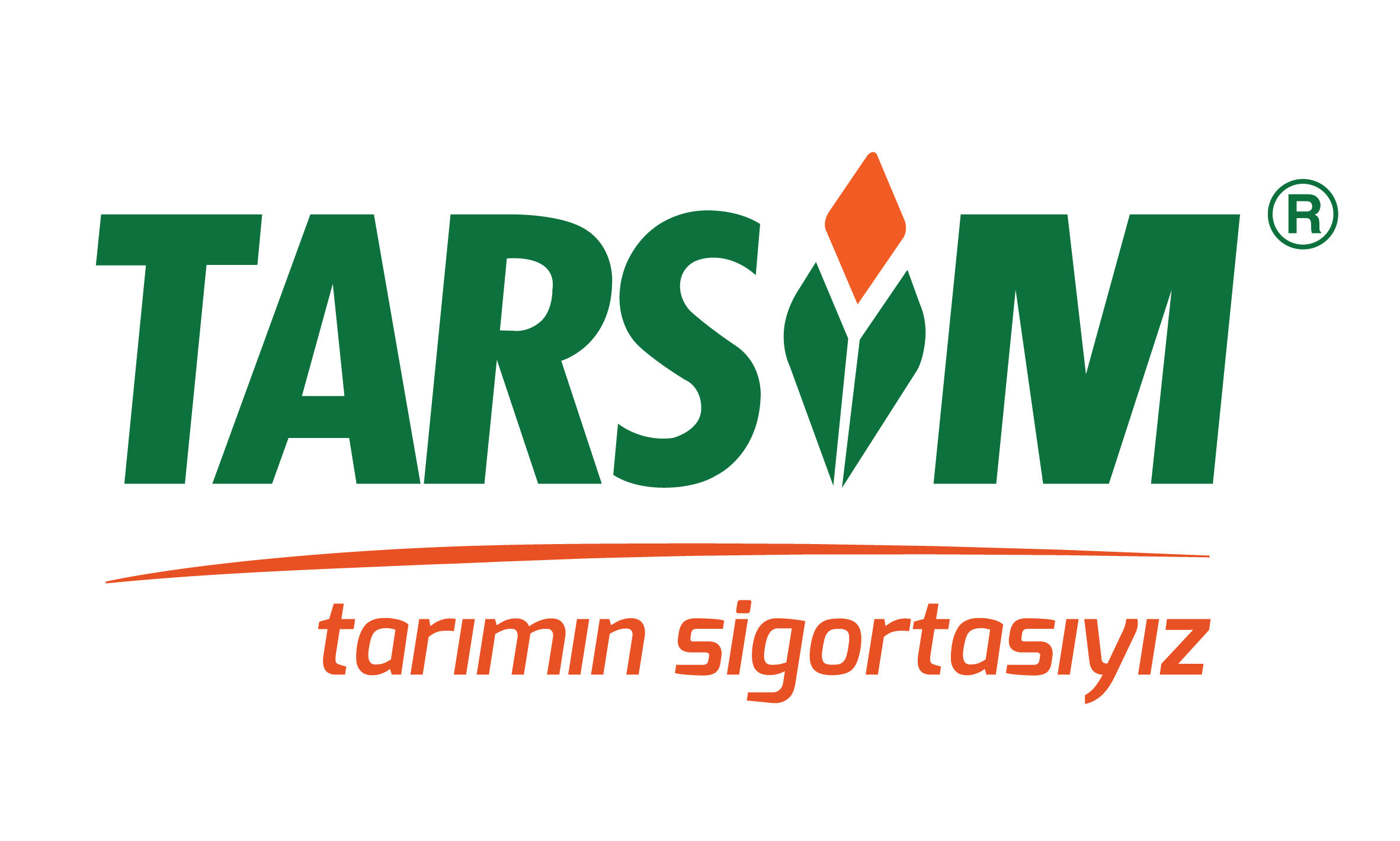 Tarsim Tarsim
